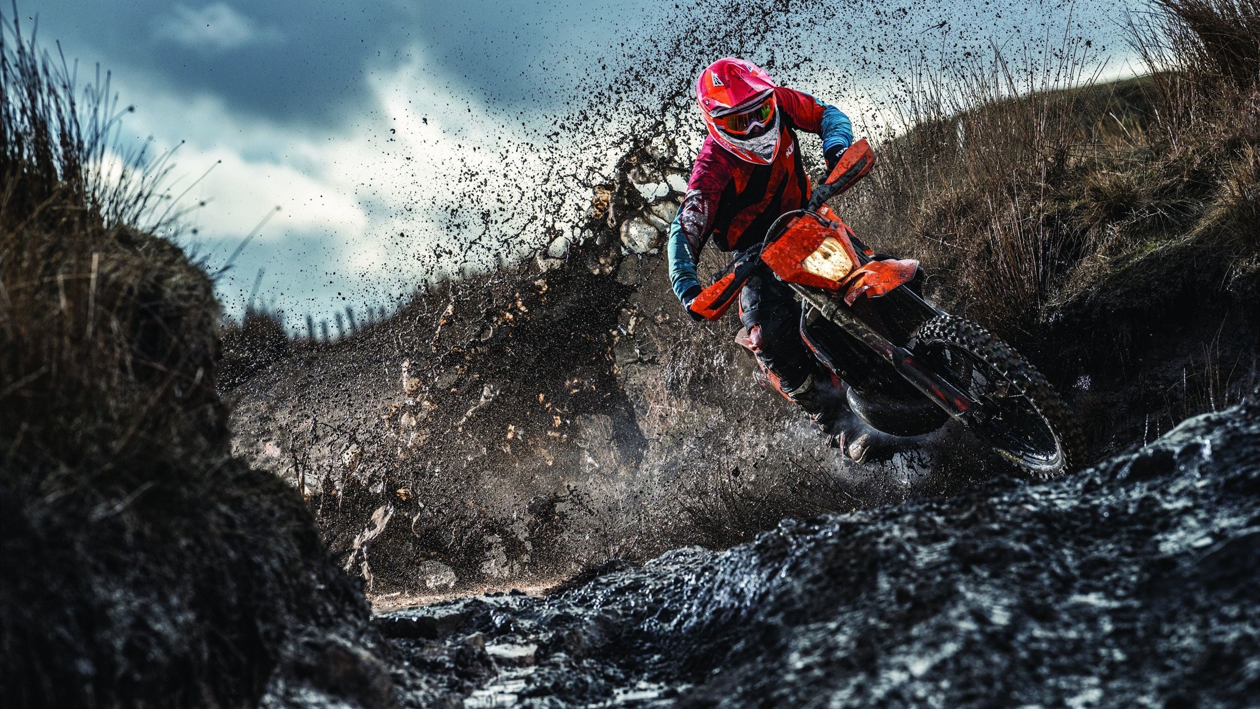 CS_GO美国粉丝支持率持续上升，csgo在国外人气比lol高吗