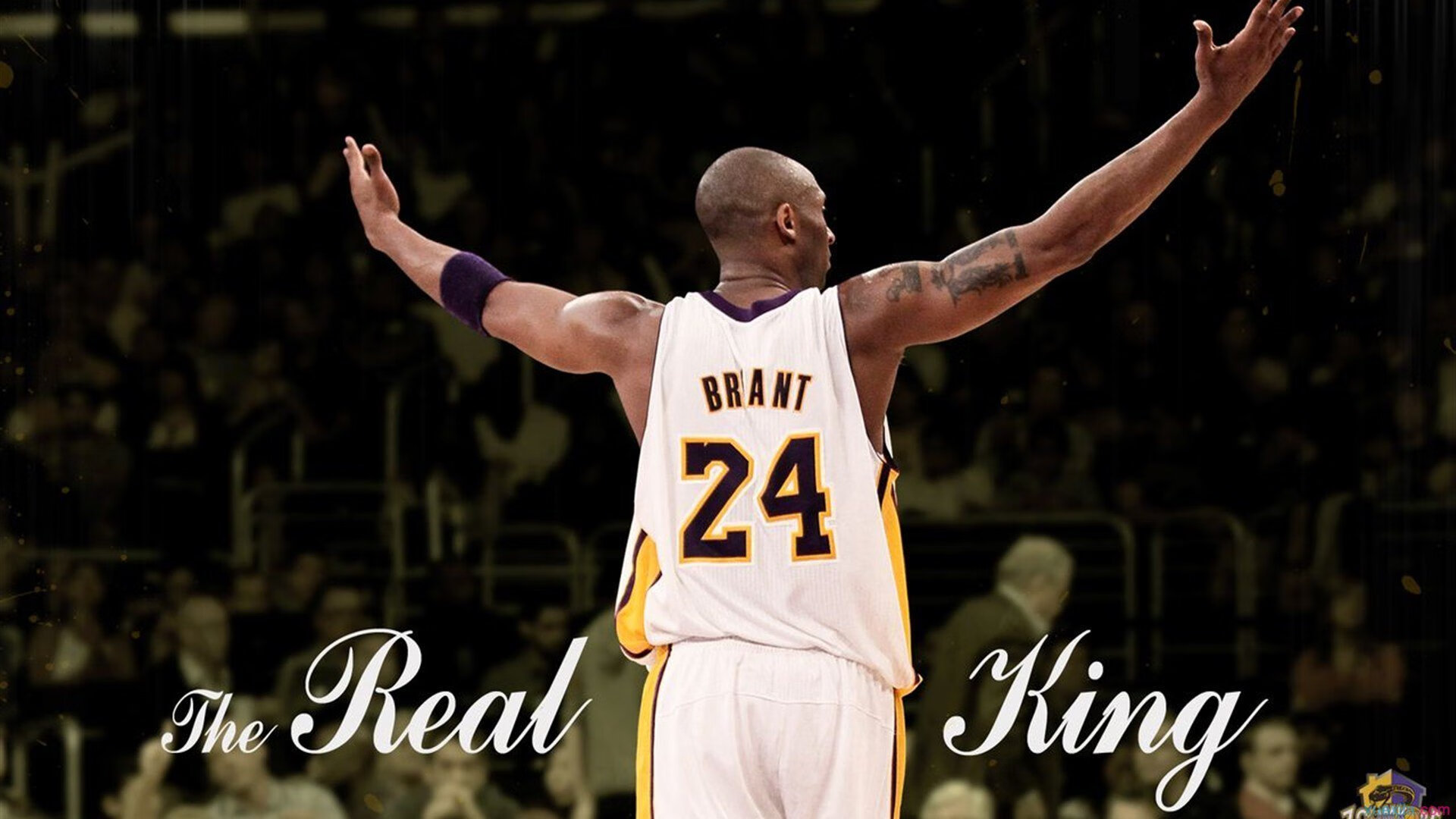 _男子单打年度追逐战：梦想成真还是遗憾落幕？_，男子单打有谁